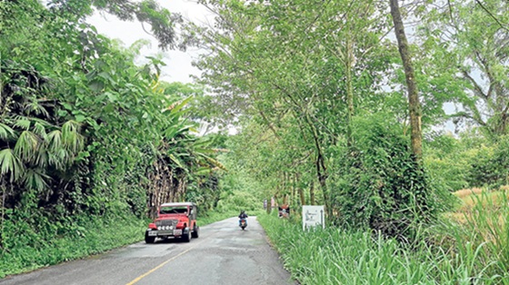 En etapa de adjudicación hasta agosto está el proyecto de la Gobernación de Caldas para mejorar el tramo vial Tres Puertas-Alto El Paisa. Son 2,44 kilómetros entre Manizales y Palestina afectados por huecos, desniveles, curvas peligrosas y maleza. Se espera que el proyecto cumpla su valor ($20 mil 529 millones) y cronograma de ejecución (12 meses), porque se trata de una zona turística y económica importante. Lástima que no se tendrán obras entre Confa y La Portada, que quedaría pendiente.