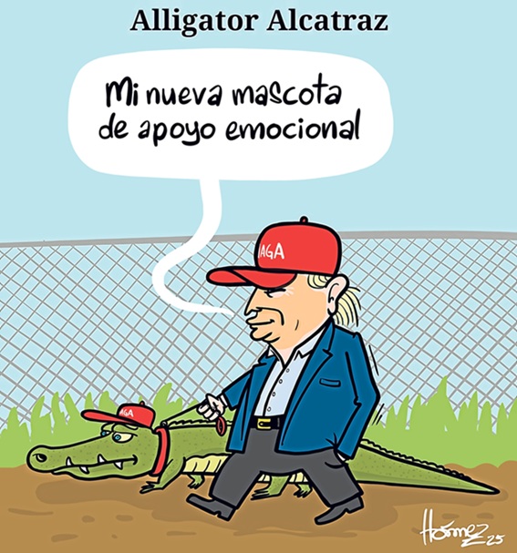 Caricatura 3 de julio del 2025: Alligator Alcatraz