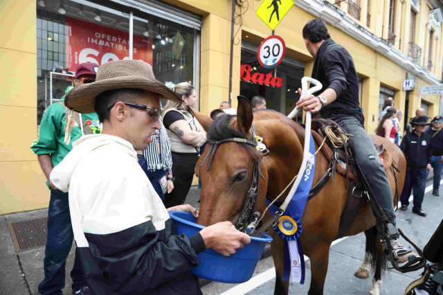 Cabalgata Feria de Manizales