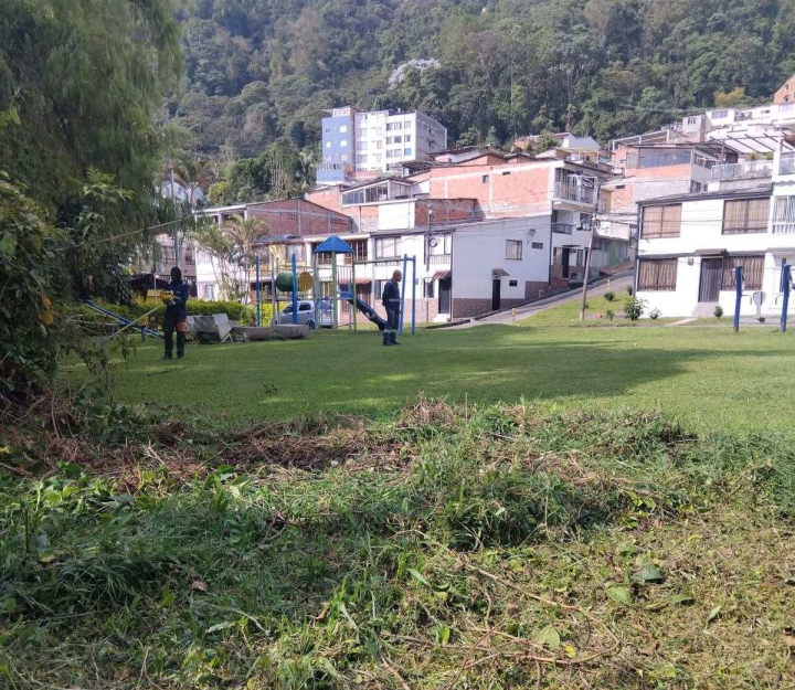 Árbol caido en el barrio Alcazares