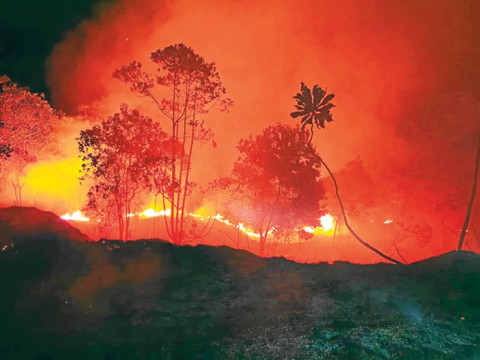 Foto | Cortesía Bomberos | LA PATRIA