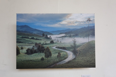 SALAMINA BICENTENARIO