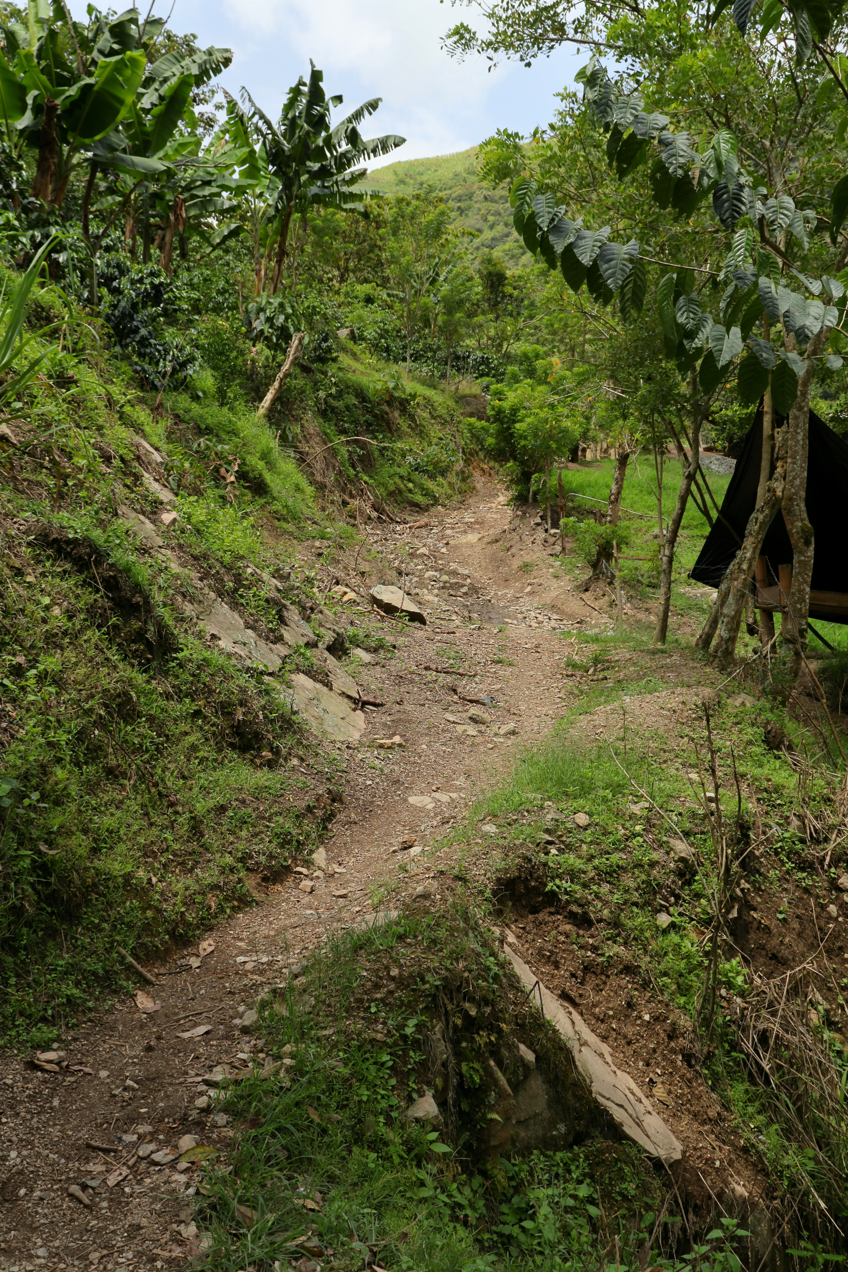 El camino que conduce del sector de La Unión a la vereda En Medio de los Ríos.