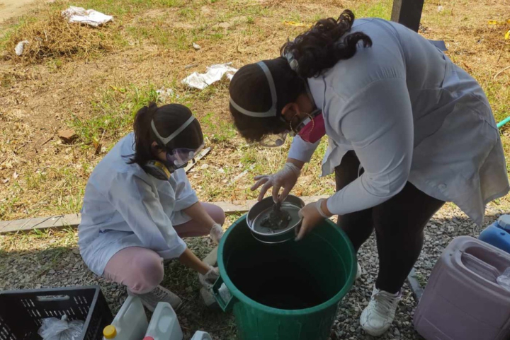 El 22 % de organismos del Caribe tenía microplásticos en su interior