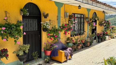 Así luce en detalle esta vivienda cubierta de flores en la fachada.