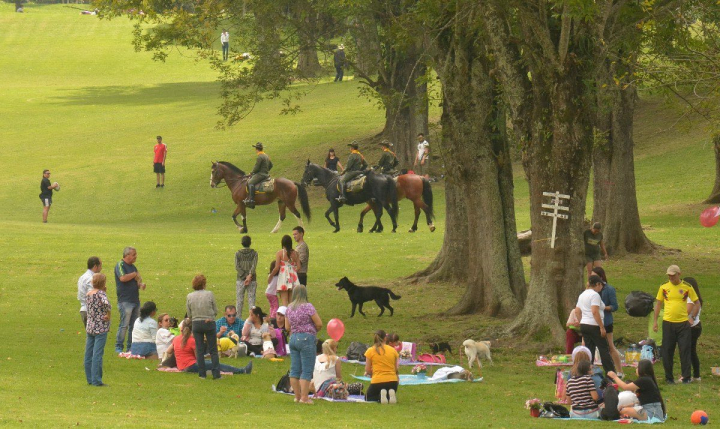 Bosque Popular