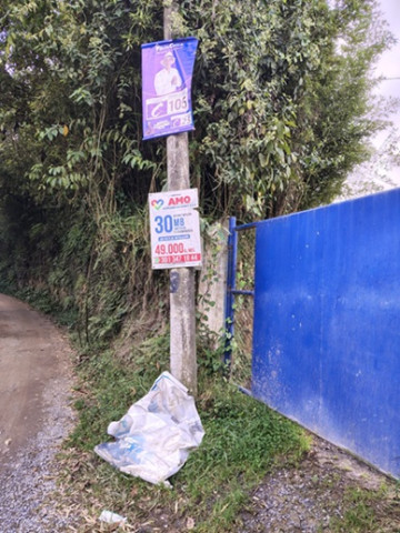 Campeones con los pendones Foto | LA PATRIA