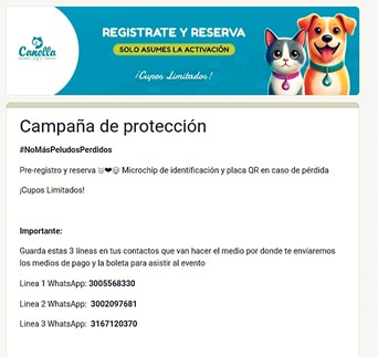 Foto | Captura de pantalla | LA PATRIA