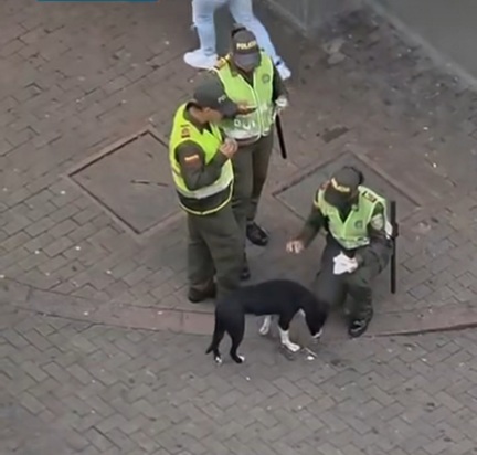 Foto|Reproducción | LA PATRIA