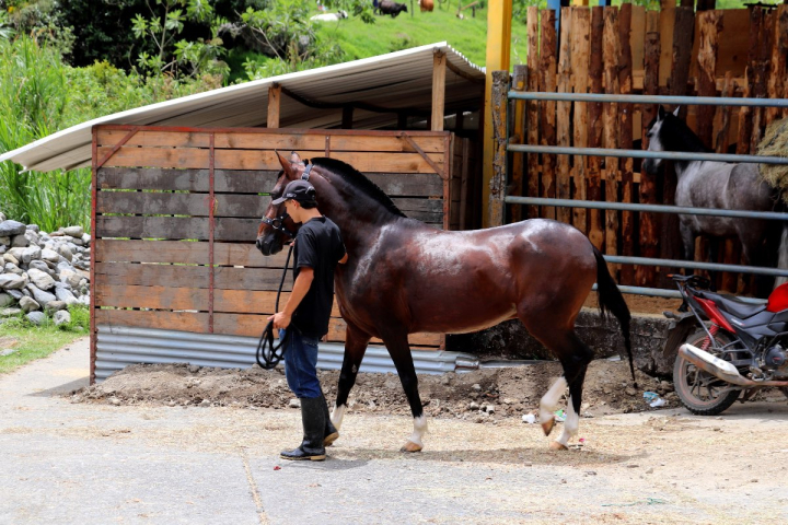 Expo Equina Pensilvania