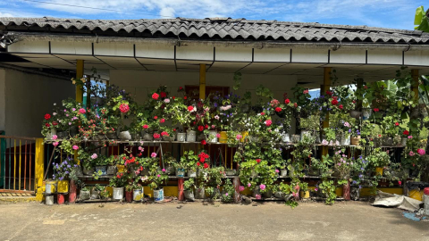 En la vereda Marapra, otra casa cuya fachada son las flores.