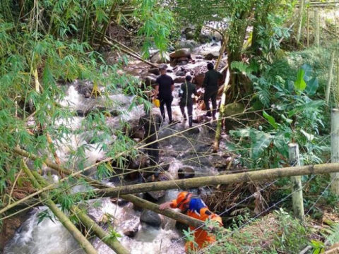 Búsqueda de Faber Martínez.