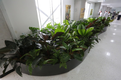 SES Hospital Universitario de Caldas