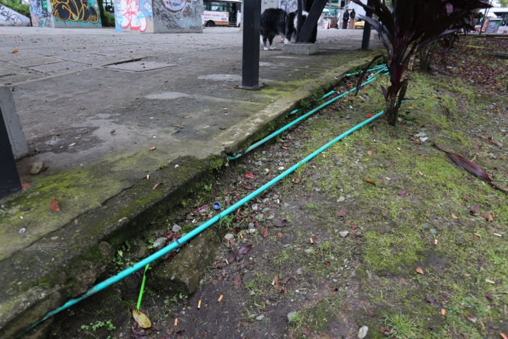 Mal estado del parque Antonio Nariño