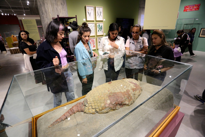 Museo Universidad de Caldas