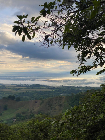 Paisaje del Eje Cafetero.