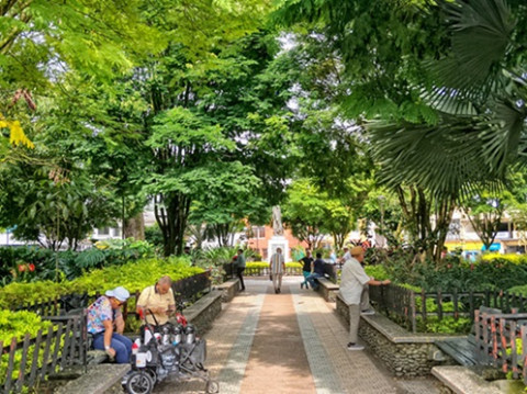 Parque invadido de ratas Foto | LA PATRIA