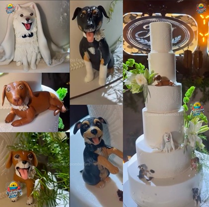 Participación manizaleña en el matrimonio de Jhonny Rivera Foto | Tomada de Instagram @colombiafans01 | LA PATRIA