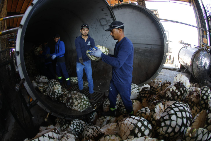 Pueblo mexicano de Tequila espera su recuperación económica con el turismo mundialista