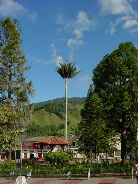 QUIOSCO