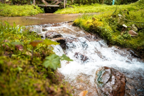 Es la primera empresa del país con certificación Huella de Agua