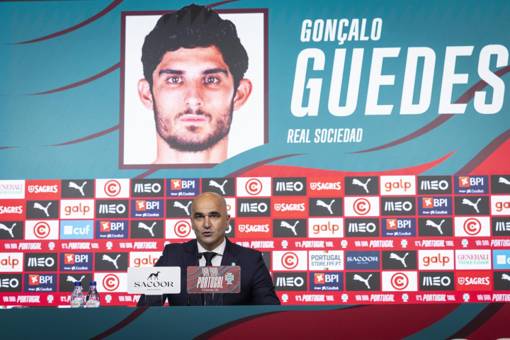 Roberto Martínez Portugal