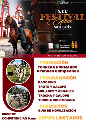 XIV Festival Equino