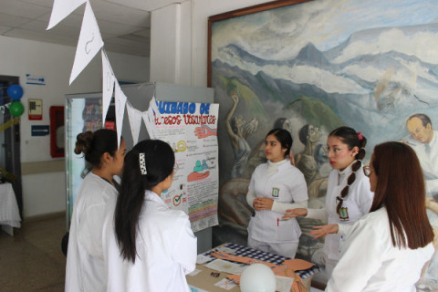 Seguridad del paciente