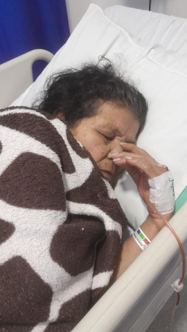 La afectada por el accidente.