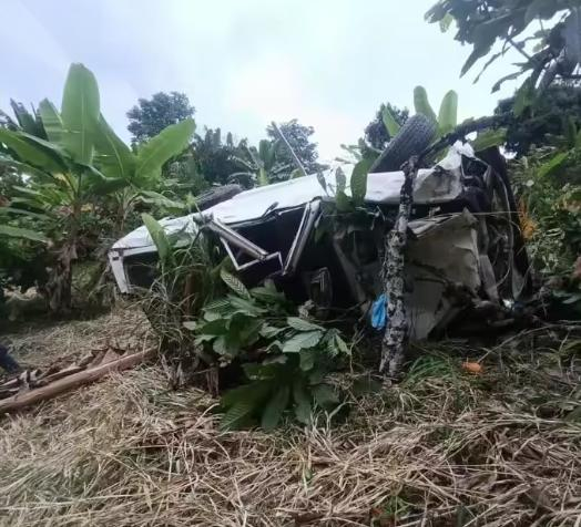 Así quedó el vehículo accidentado en Belalcázar (Caldas). Cayó por una ladera.