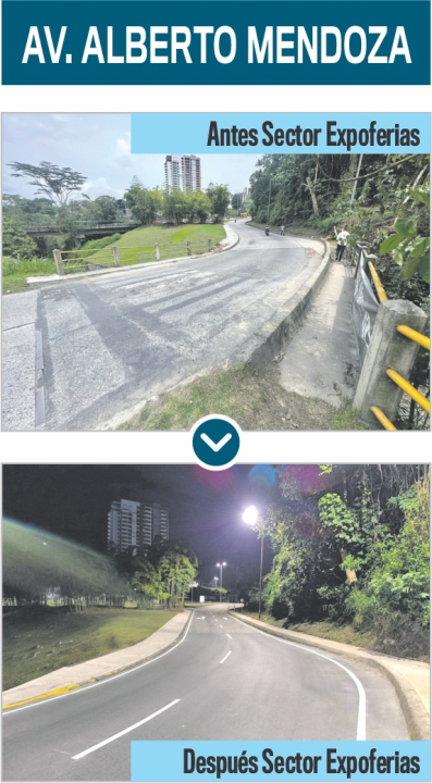 Avenida Alberto Mendoza
