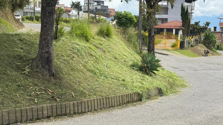 Anserma
