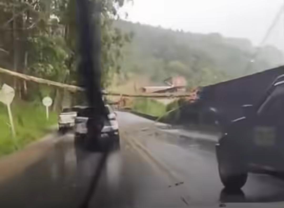 Caída de árbol vía Manizales - Pereira