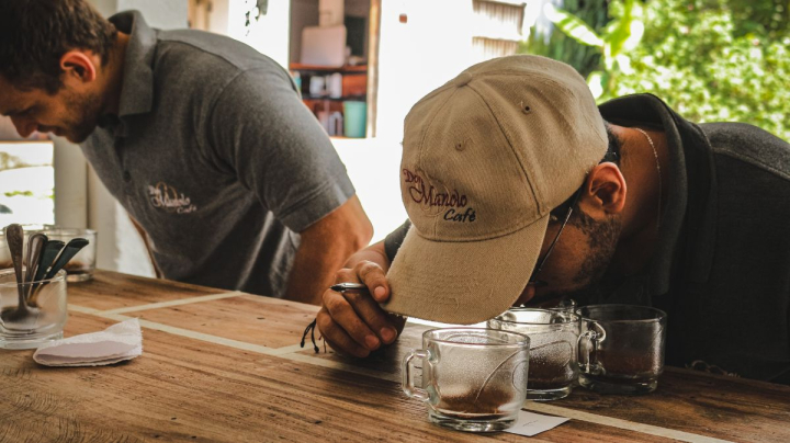 De la mata a la taza