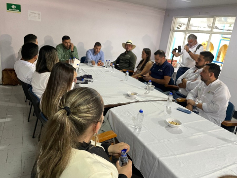 Anuncio de proyectos