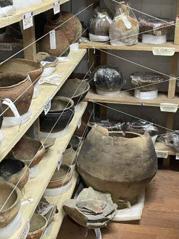 Es hasta la fecha, una de las muestras más grandes de Risaralda. 