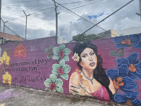 mural a Kali Uchis