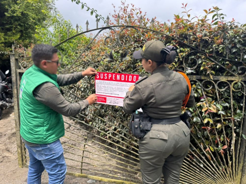 obras en el Manzano