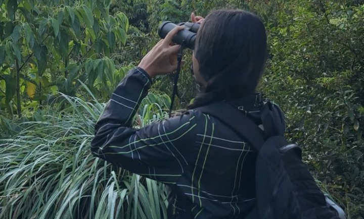 Observación de aves