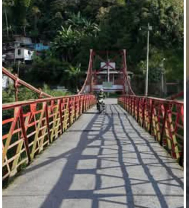 Olivares