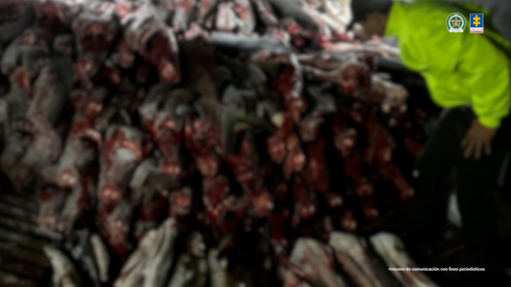 pesca ilegal tiburones