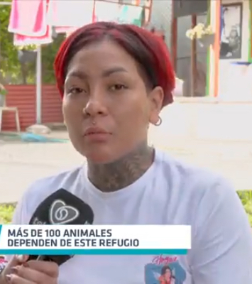 El abandono de animales en Pereira muestra un crecimiento sostenido