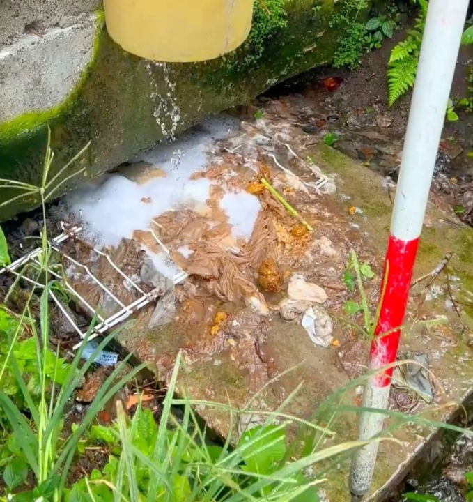 suspenden ips en pereira