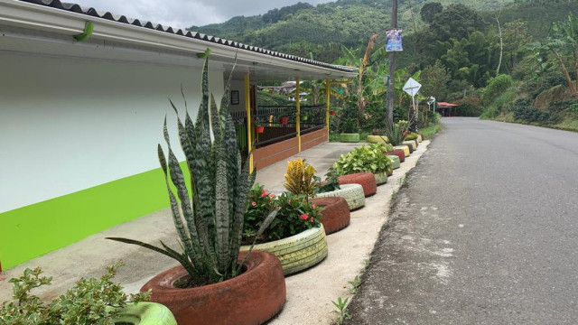 Las viviendas adornan sus frentes con plantas de jardín.