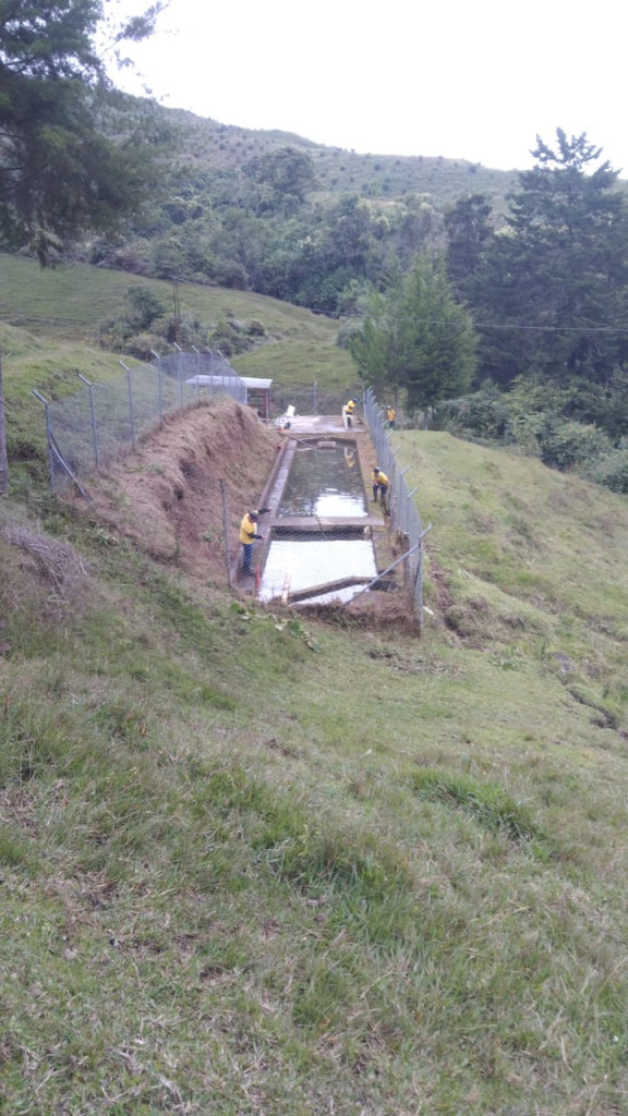 Pácora acueducto Los Naranjos después de rocería