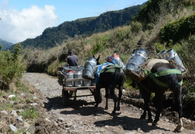 La vereda Playa Larga se caracteriza por ser una tierra de mucha fertilidad en la que se cultiva papa y cebolla. La mayoría de habitantes son ordeñadores que trabajan en las fincas.