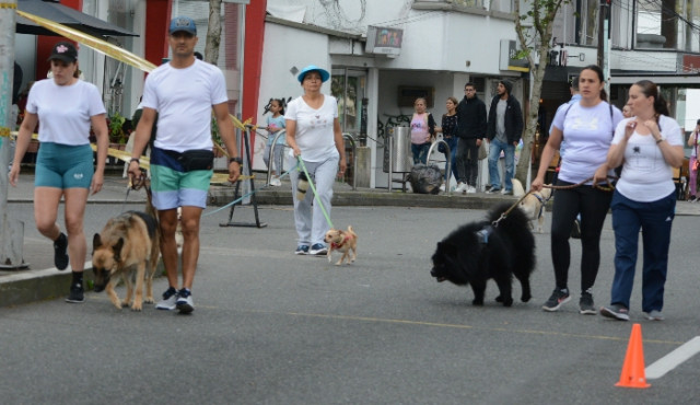 Allí también pasean las mascotas.