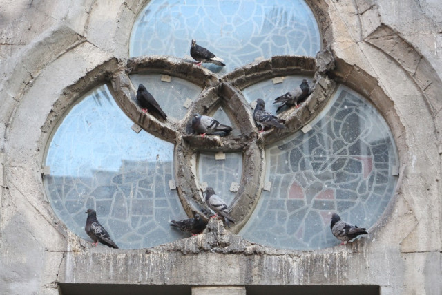 Este es el panorama en uno de los vitrales de la Catedral. 