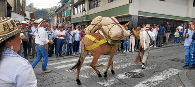 Foto I Jorge Iván Castaño I LA PATRIA  En Pueblo Rico (Neira) desfilaron los arrieros, en una fiesta llena de cultura y tradiciones.