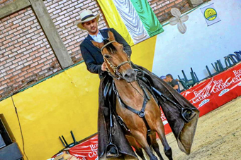 Foto I Facebook Alcaldía de Manzanares I LA PATRIA  Manzanares cumplió con la edición XVIII Exposición Equina Grado B, en el coliseo cubierto Jesús Alberto Hernández.